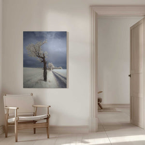 Tablou canvas „IRenka” de Piotr Krol (Bax)