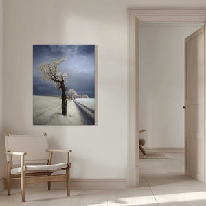 Tablou canvas „IRenka” de Piotr Krol (Bax)