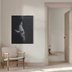 Tablou canvas „Black Whale” de Barathieu Gabriel