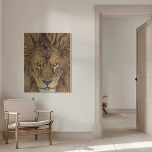 Tablou canvas „Serious Lion” de Mike Centioli