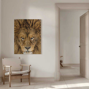 Tablou canvas „Serious Lion” de Mike Centioli
