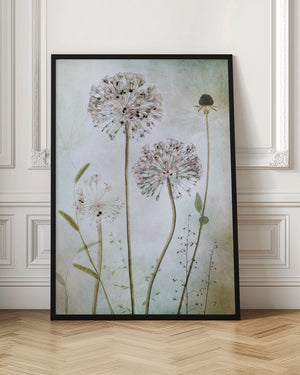 Tablou înramat „Allium” de Mandy Disher