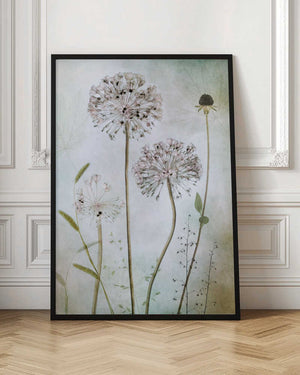 Tablou înramat „Allium” de Mandy Disher