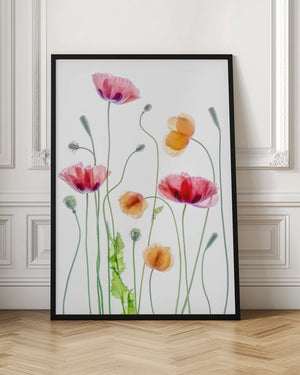 Tablou înramat „Poppies” de Mandy Disher