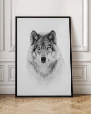 Tablou înramat „Portrait of a Timber Wolf” de Jim Cumming