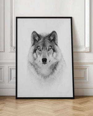 Tablou înramat „Portrait of a Timber Wolf” de Jim Cumming