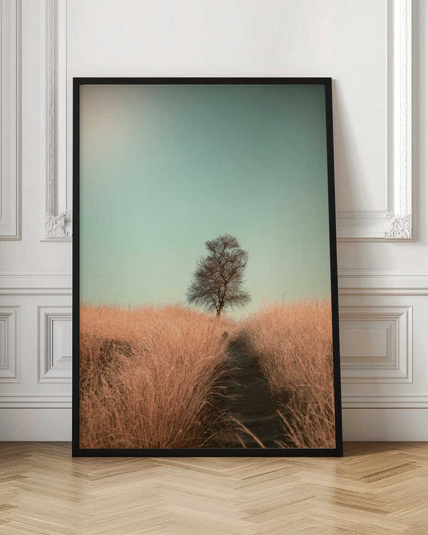 Tablou înramat „Grass and Path” de Jaap van den Helm