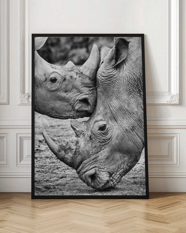 Tablou înramat „Face to face” de Jesus Concepcion Alvarado