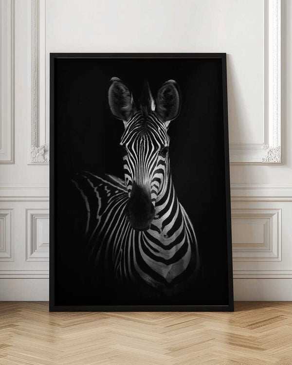 Tablou înramat „The Zebra” de WildPhotoArt