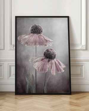 Tablou înramat „Duet” de Mandy Disher