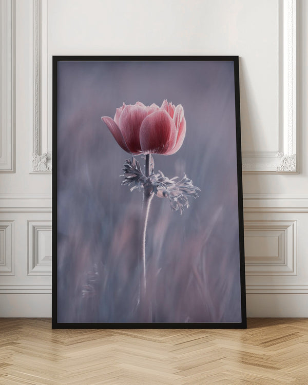 Tablou înramat „Pink ! So What ?” de Fabien BRAVIN