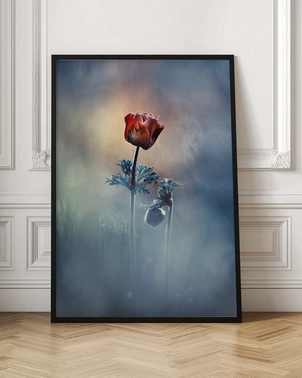 Tablou înramat „Where poetry and memories remain” de Fabien BRAVIN