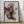 Tablou înramat „Red Seaweed” de Pictufy Studio II