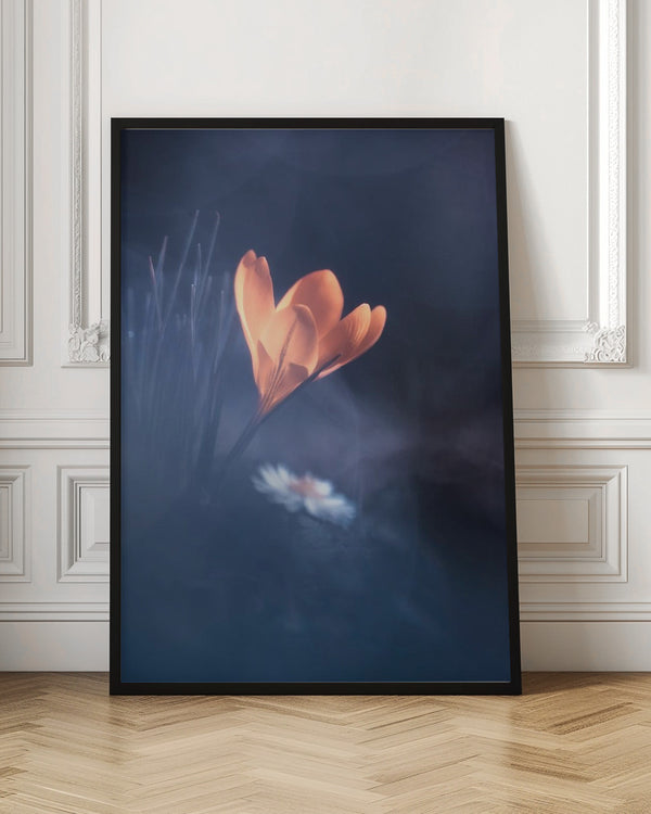 Tablou înramat „Upanishad” de Fabien BRAVIN