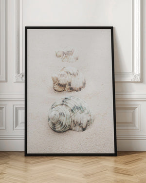 Tablou înramat „Shells” de Pictufy Studio III