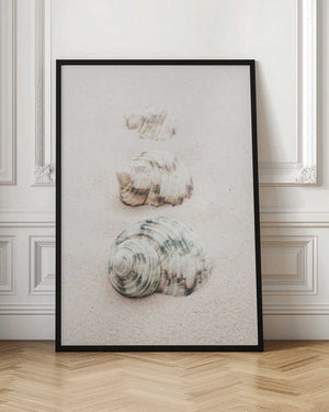 Tablou înramat „Shells” de Pictufy Studio III