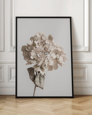 Tablou înramat „Beige dried flower” de Pictufy Studio III