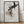 Tablou înramat „wild_words_002” de Pictufy Studio II