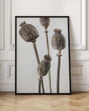 Tablou înramat „Dried_006” de Pictufy Studio III