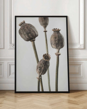 Tablou înramat „Dried_006” de Pictufy Studio III