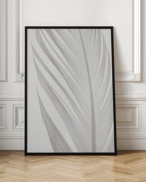 Tablou înramat „Feather_006” de Pictufy Studio III