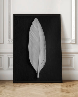 Tablou înramat „Feather_008” de Pictufy Studio III