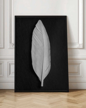 Tablou înramat „Feather_008” de Pictufy Studio III