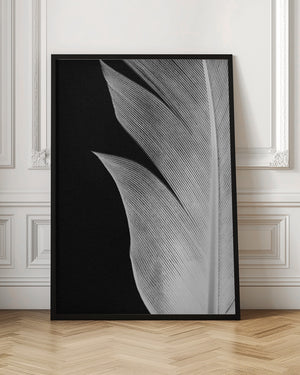 Tablou înramat „Feather_005” de Pictufy Studio III
