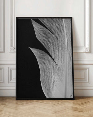 Tablou înramat „Feather_005” de Pictufy Studio III