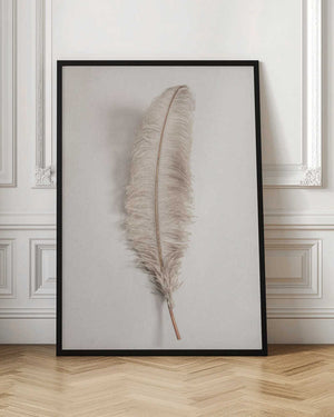 Tablou înramat „Feather_002” de Pictufy Studio III