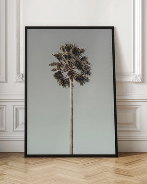 Tablou înramat „Palm_001” de Pictufy Studio III