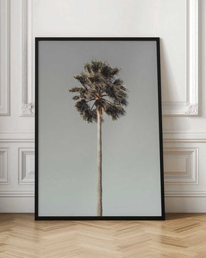 Tablou înramat „Palm_001” de Pictufy Studio III