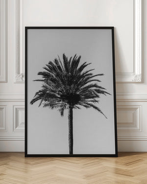 Tablou înramat „Palm_003” de Pictufy Studio III
