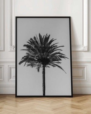 Tablou înramat „Palm_003” de Pictufy Studio III