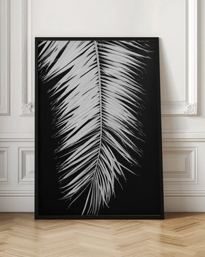 Tablou înramat „Palmblad_004” de Pictufy Studio III
