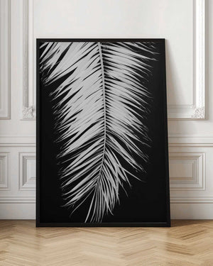 Tablou înramat „Palmblad_004” de Pictufy Studio III