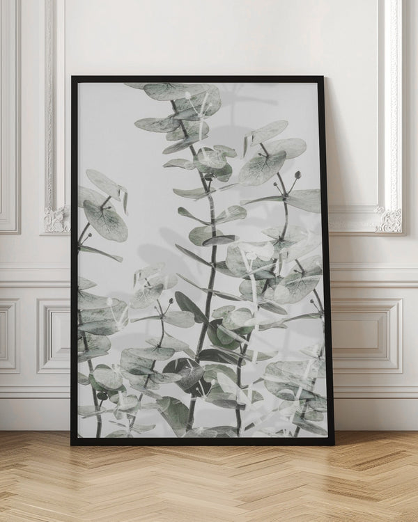 Tablou înramat „Eucalyptus_001” de Pictufy Studio III