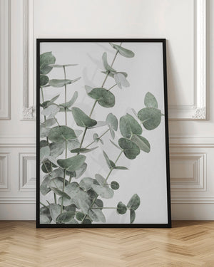 Tablou înramat „Eucalyptus_003” de Pictufy Studio III