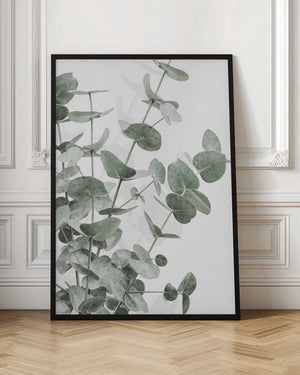 Tablou înramat „Eucalyptus_003” de Pictufy Studio III
