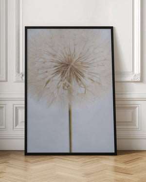Tablou înramat „Delicate Dandelion” de uplusmestudio