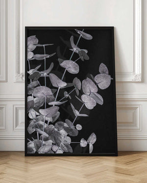 Tablou înramat „Eucalyptus_Negative_003” de Pictufy Studio III