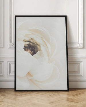Tablou înramat „White Flower 01” de Pictufy Studio III