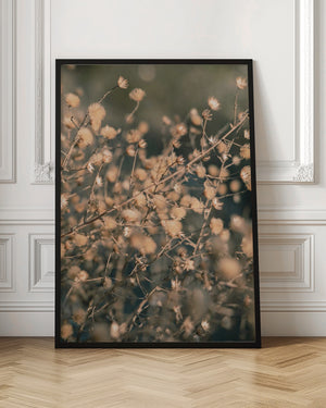 Tablou înramat „Beach flowers_003” de Pictufy Studio III