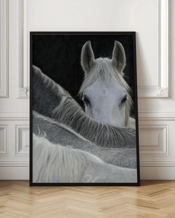 Tablou înramat „Look” de Milan Malovrh