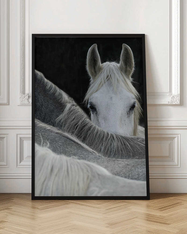 Tablou înramat „Look” de Milan Malovrh