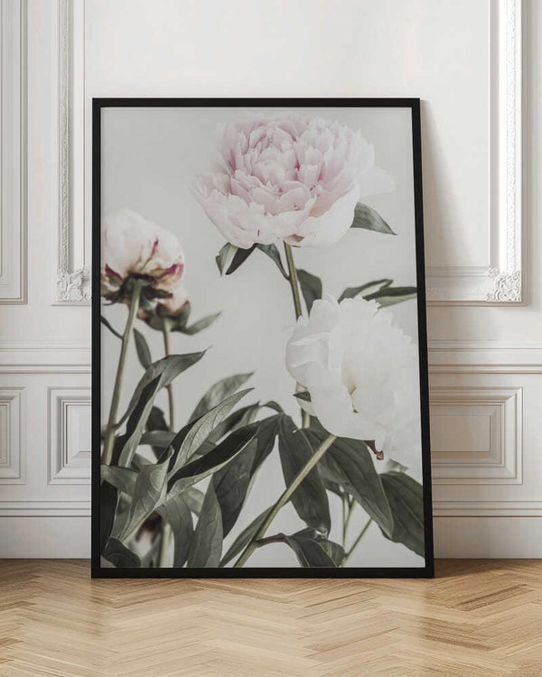 Tablou înramat „Peony 04” de Pictufy Studio III