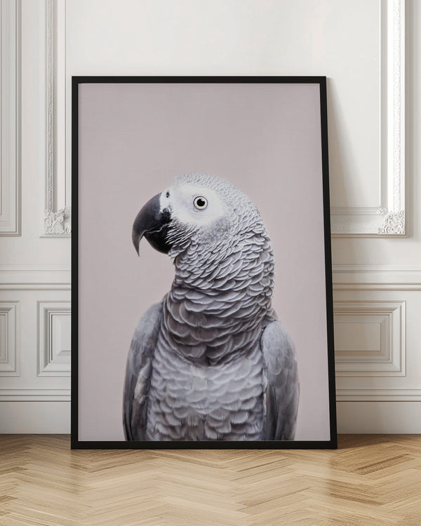 Tablou înramat „African Grey” de Kathrin Pienaar