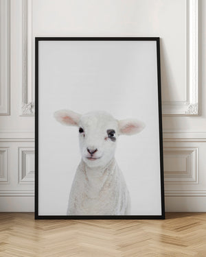 Tablou înramat „Baby Lamb” de Kathrin Pienaar