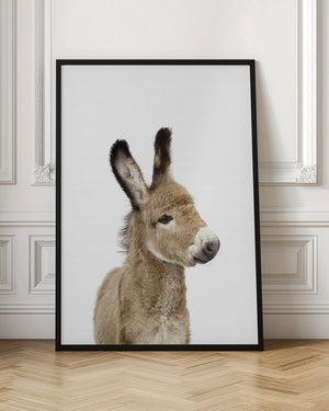 Tablou înramat „Baby Donkey” de Kathrin Pienaar