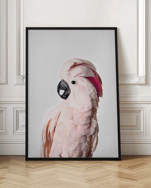 Tablou înramat „Pink Cockatoo” de Kathrin Pienaar